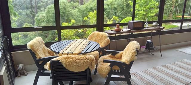 Varanda envidraçada com mesa e vista para as araucárias